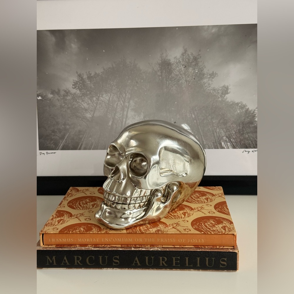 Silver skull decor - Picture 5 of 5